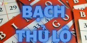 Bạch thủ lô là gì